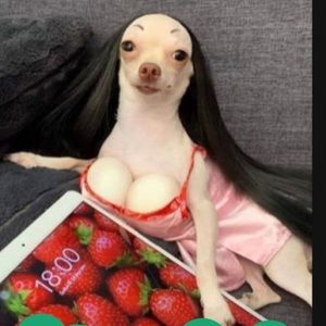 Meet your Posher, Me Andrew